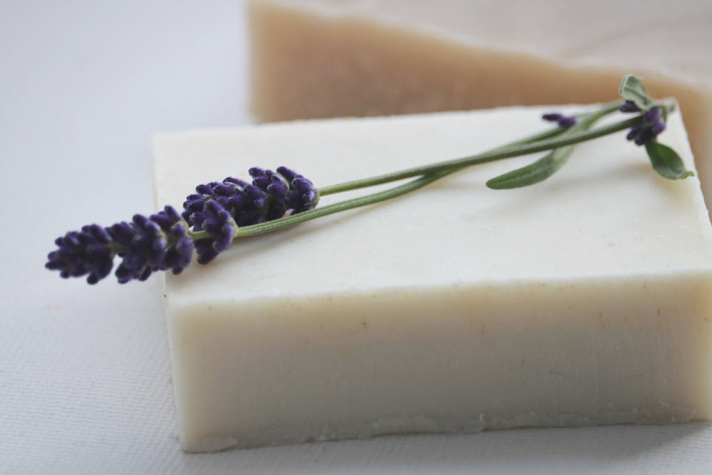 Lavender Shampoo Bar - Natural Shampoo - Clear Naturals